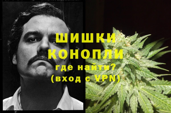 хмурый Абаза