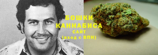 хмурый Абаза