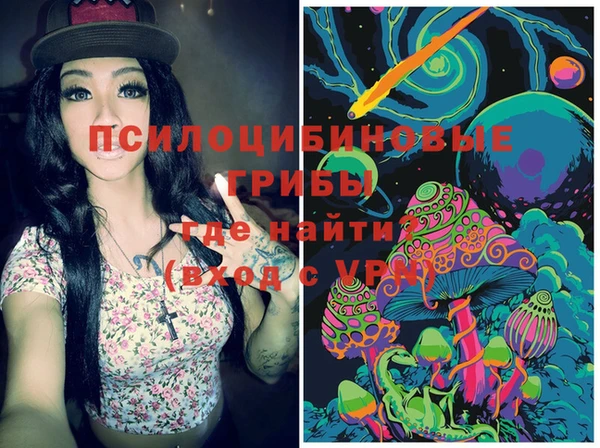 крисы Кулебаки