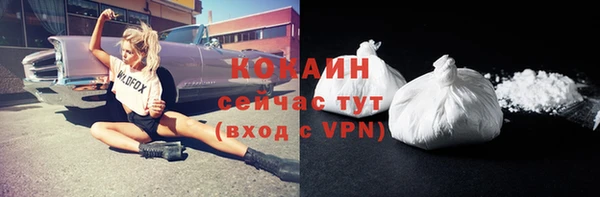 хмурый Абаза