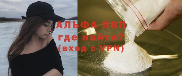 хмурый Абаза
