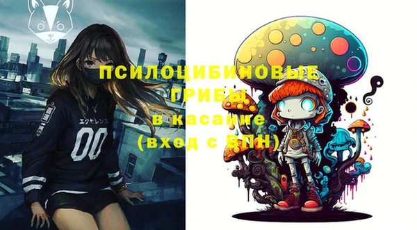 хмурый Абаза