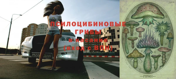 крисы Кулебаки